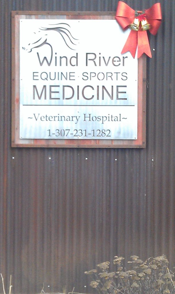 Mobile Equine Veterinarian in Jackson, WY